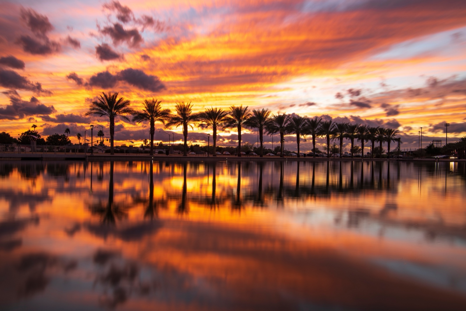 Sunset over a lake lined with palm trees in Mesa, Arizona